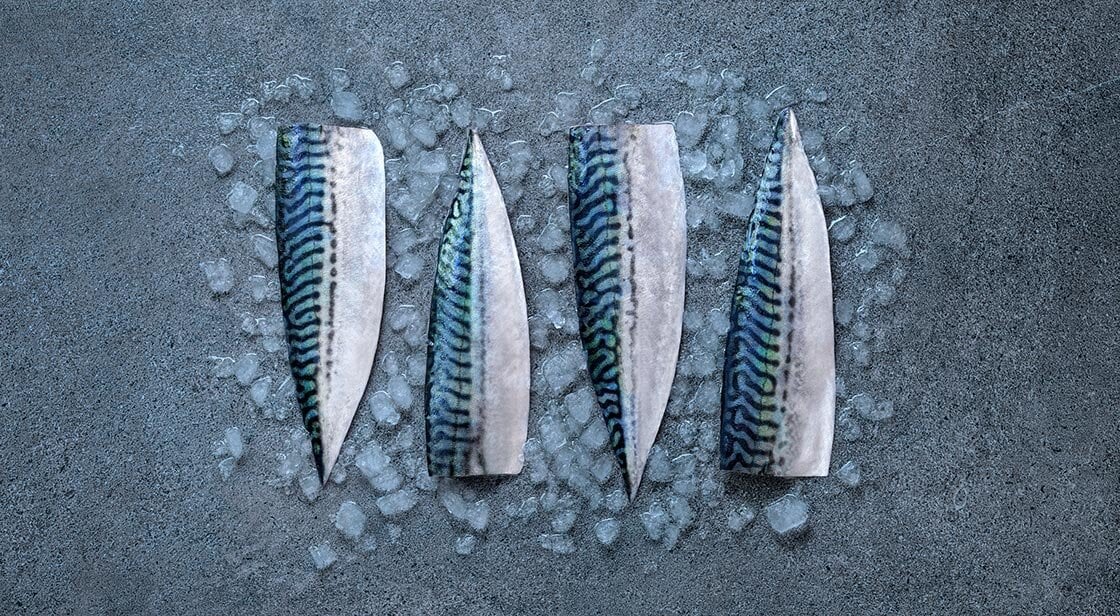 Mackerel